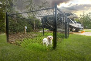 Doggie with an RV